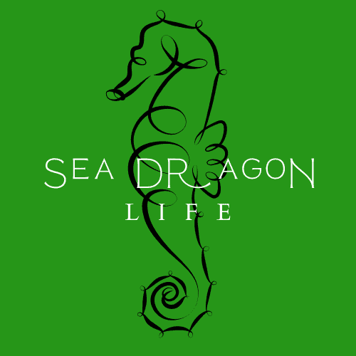 Sea Dragon Sea Dragon Life